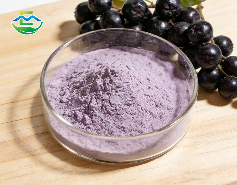 Aronia Fruit Extract